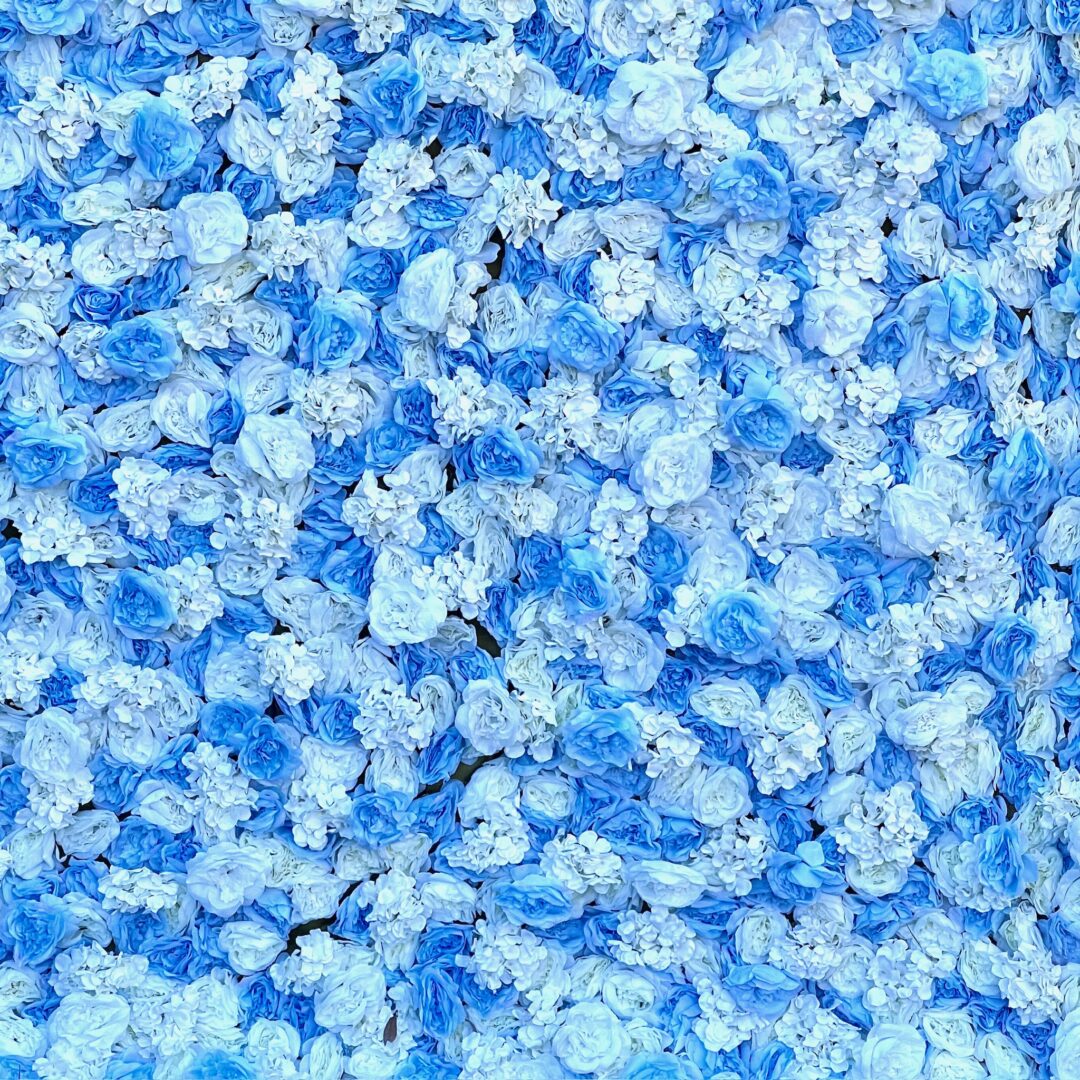 baby blue 3d floral wall for rent
